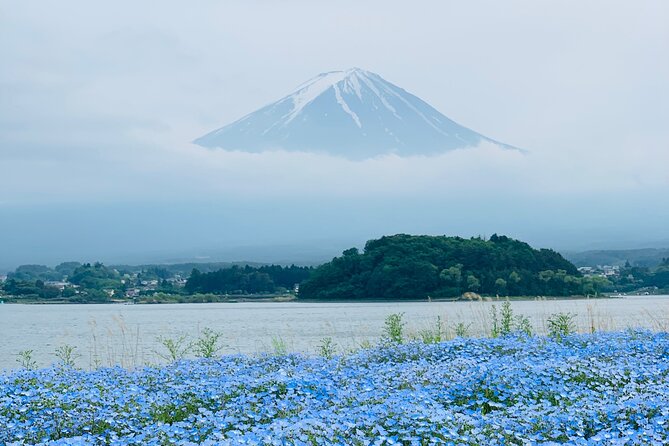 Mount Fuji Adventures Private English Tour With Hotel Pick Up - Lake Kawaguchiko: strolling views and an optional cruise