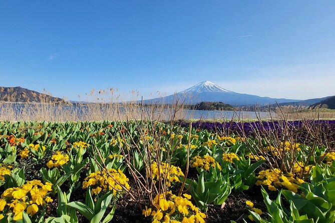 Mount Fuji Adventures Private English Tour With Hotel Pick Up - What’s included versus what you’ll pay on the day