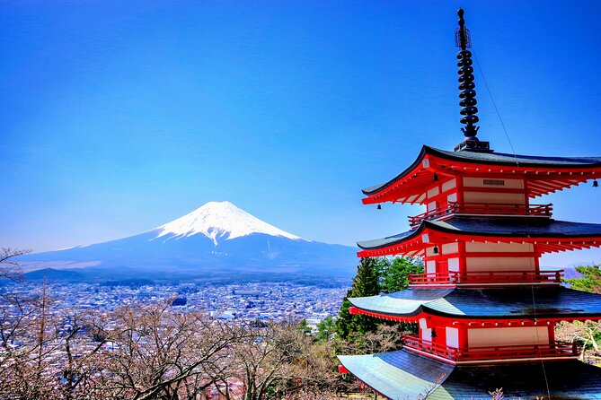 Mount fuji and Hakone Full day private sightseeing tour - Private pickup through Tokyo traffic: why this day works