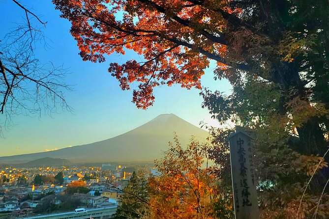 Mount fuji and Hakone Full day private sightseeing tour - Owakudani volcano air and Kurotamago black eggs