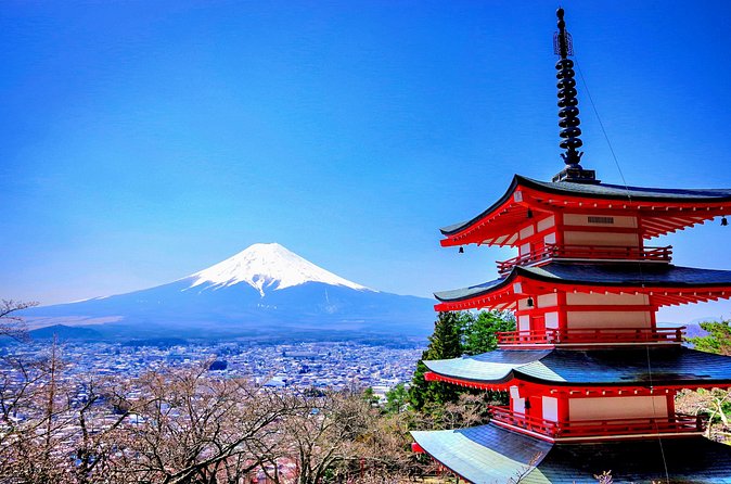 Mount fuji and Hakone Full day private sightseeing tour - Cable car viewpoints and the Open-Air Museum break