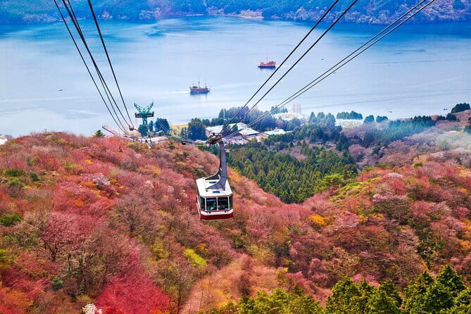 Mount Fuji and Hakone Private Day Trip by Car/Van - in English - Private Car/Van From Tokyo: Why This Day Feels Easier
