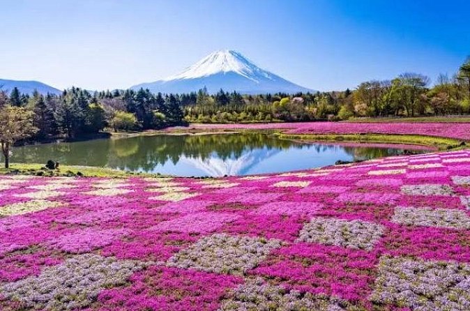 Mount Fuji and Hakone Private Tour by Car with Pickup from Tokyo - Who this tour is for (and who might skip it)