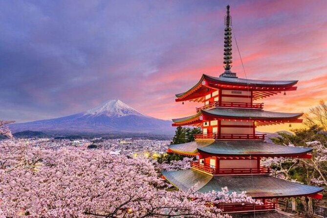 Mount Fuji and Hakone Private Tour by Car with Pickup from Tokyo - Should you book this Mt. Fuji and Hakone private car tour?