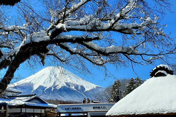 Mount Fuji and Hakone Private Tour from Tokyo (Customizable) - Key Moments That Make This Tour Worth It