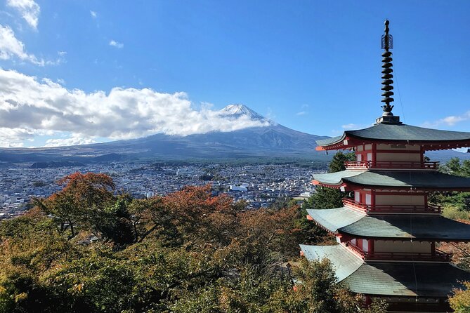 Mount Fuji and Hakone Private Tour from Tokyo (Customizable) - Tokyo Pickup and a Private Guide Who Actually Adjusts the Day