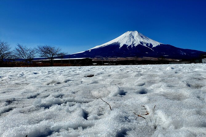 Mount Fuji and Hakone Private Tour from Tokyo (Customizable) - Hakone Ropeway and Owakudani Valley: Geothermal Reality, Not Just a View