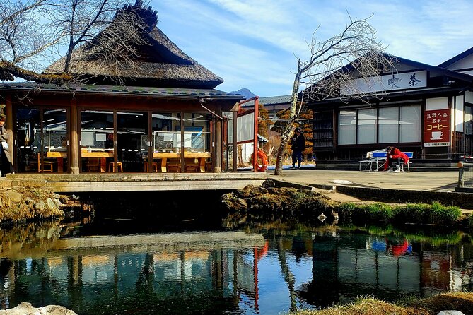 Mount Fuji and Hakone Private Tour from Tokyo (Customizable) - Lake Ashinoko: The Big Views Finish, Plus the Pirate Cruise Option