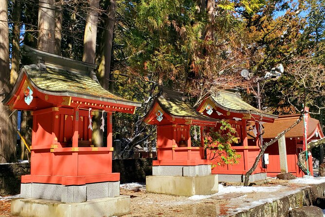 Mount Fuji and Hakone Private Tour from Tokyo (Customizable) - Price and Budget: Is ¥-Free Stop Hunting Still Good Value?
