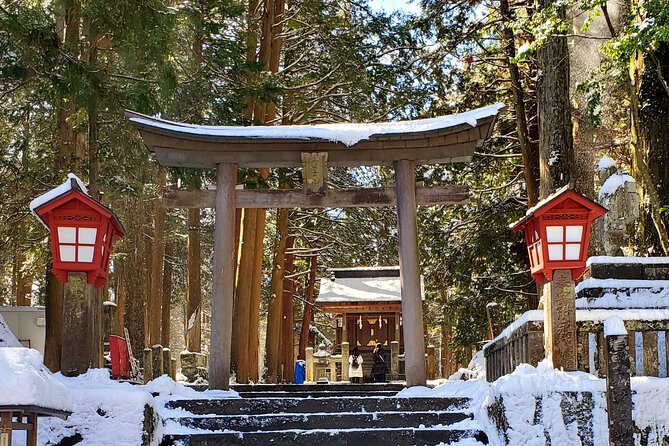 Mount Fuji and Hakone Private Tour from Tokyo (Customizable) - Who This Tour Fits Best in Real Life