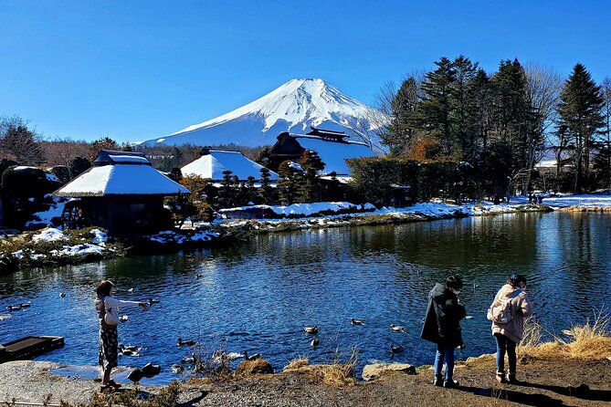 Mount Fuji and Hakone Private Tour from Tokyo (Customizable) - Chureito Pagoda: Fuji’s Most Photographed Backdrop (And When to Enjoy It)