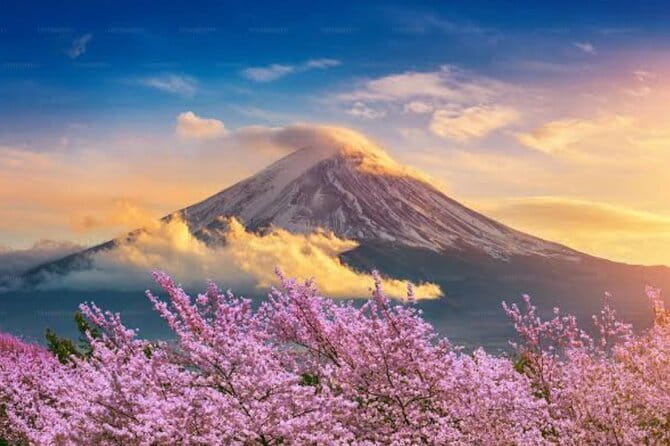Mount Fuji and Hakone Private Tour with Pickup from Tokyo - Oishi Park: the short stop that still does its job
