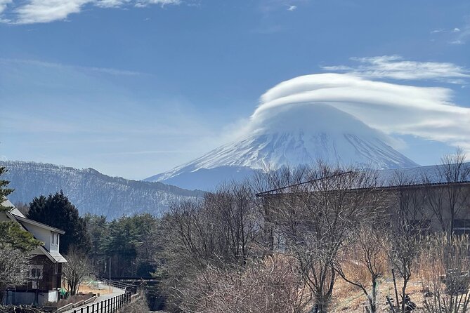 Mount Fuji Customizable one day Private Guided Tour from Tokyo - Key highlights you’ll feel right away