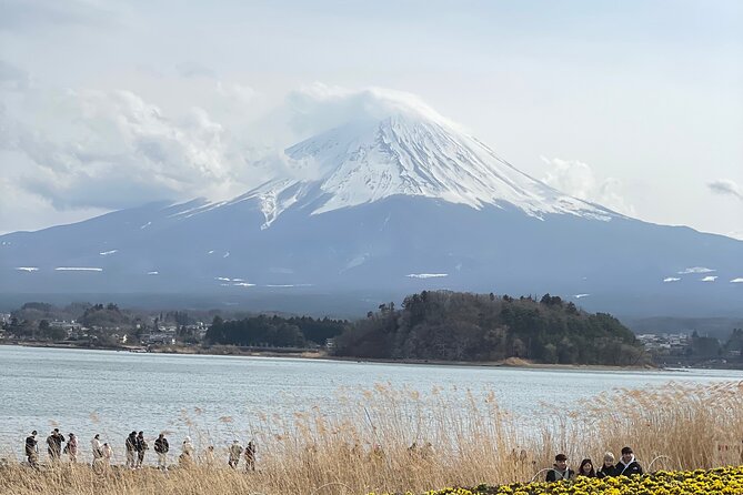 Mount Fuji Customizable one day Private Guided Tour from Tokyo - Saiko Iyashi no Sato Nemba: thatched-roof calm and small museum stops