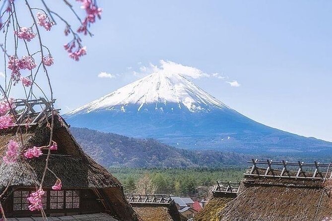 Mount Fuji Customizable one day Private Guided Tour from Tokyo - Oshino Hakkai: eight spring ponds, koi, and easy snack browsing