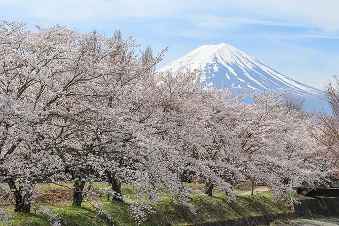 Mount Fuji Customizable one day Private Guided Tour from Tokyo - Lake Kawaguchiko: boat ride and the ropeway for a higher angle
