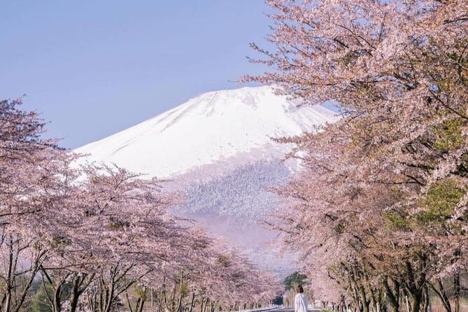 Mount Fuji Customizable one day Private Guided Tour from Tokyo - Arakurayama Sengen Park and the Chureito pagoda: 398 steps for the payoff