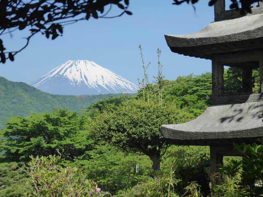 Mount Fuji: Customizable Private Tour By Car With Pickup - Saiko Iyashi-no-Sato Nenba: the thatched-village moment