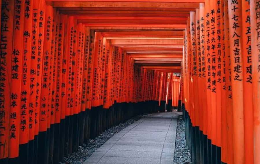 Mount Fuji Customize Private Tour with English Driver - Price and Value: What Your Private Car Really Buys