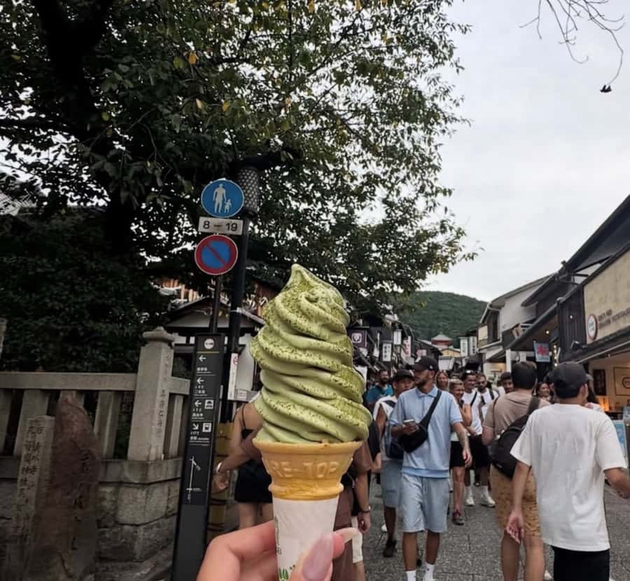 Mount Fuji Customize Private Tour with English Driver - Optional Ropeways and Lake Cruises: Add Panoramas When You Want More
