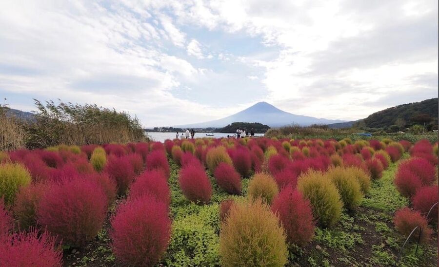 Mount Fuji Customize Private Tour with English Driver - Outlet Mall at the End: A Practical Finale (Retail, Not Culture)