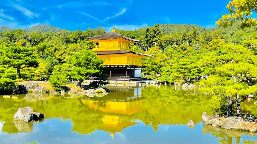 Mount Fuji Customize Private Tour with English Driver - Tokyo Pickup, Comfort, and Why Traffic Can Change Your Day