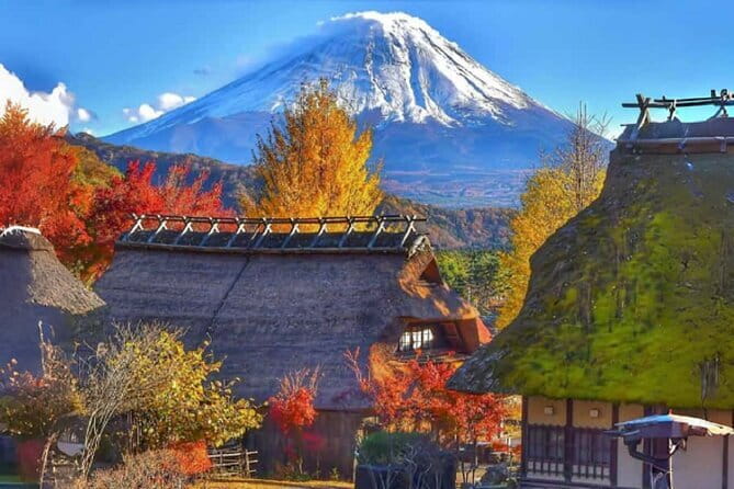 Mount Fuji Day Tour:Lake Kawaguchi, HealingVillage,Oshino Hakkai - A day tour that actually feels like a day