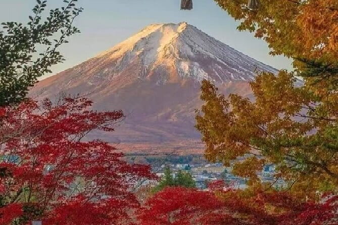 Mount Fuji Day Tour:Lake Kawaguchi, HealingVillage,Oshino Hakkai - Stop 2: Oshino Hakkai’s eight ponds and the volcanic-rock magic