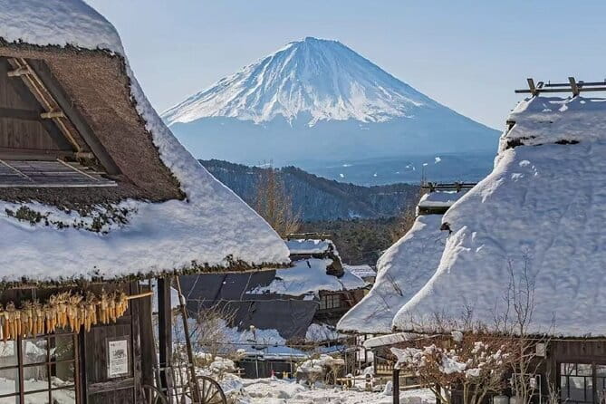 Mount Fuji Day Tour:Lake Kawaguchi, HealingVillage,Oshino Hakkai - Stop 1: Arakurayama Sengen Park for the classic Fuji viewpoint