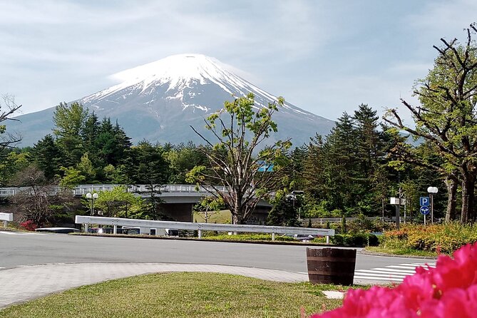 Mount Fuji Escape: A Private Tour - Kachikachi Ropeway: Panoramic Views You Can Actually Feel