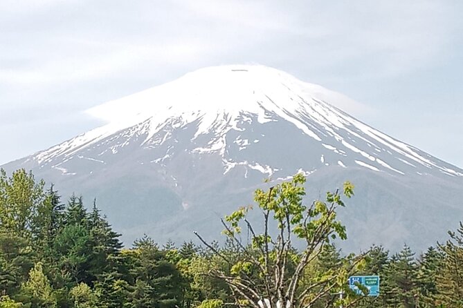 Mount Fuji Escape: A Private Tour - Your Vehicle Comfort: Wi‑Fi, Photo Stops, and Real Breathing Room