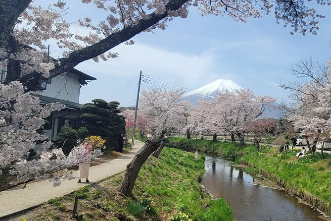 Mount Fuji Full Day Customizable Private Tour with English Guide - Customizing the day with an English-speaking driver