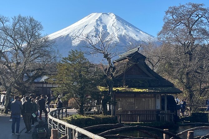 Mount Fuji Full Day Customize Private Tour with English Guide - Why a private Mount Fuji day from Tokyo makes sense