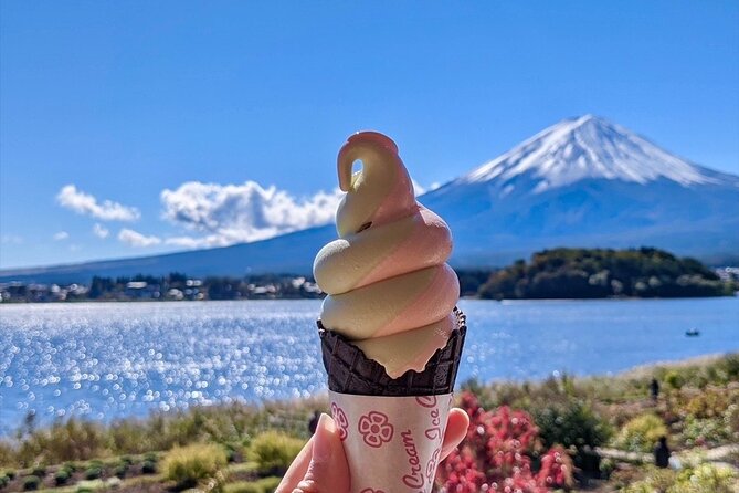 Mount Fuji Full Day Customize Private Tour with English Guide - Narusawa Ice Cave and Gotemba Outlets: variety without derailing the day