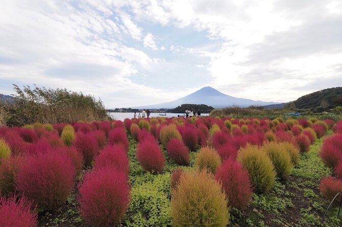 Mount Fuji Full Day Customized Private Tour with English Guide - Stop 1: Mount Fuji 5th Station (and why the fee is worth budgeting)