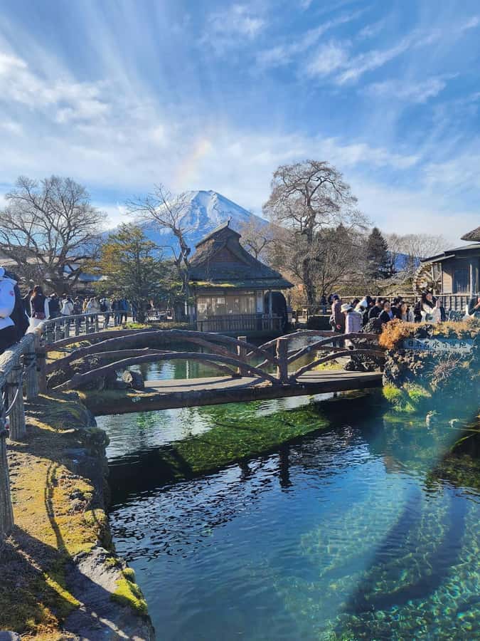 Mount Fuji Full-Day Private Sightseeing Tour with Guide - Key highlights that make this tour worth it