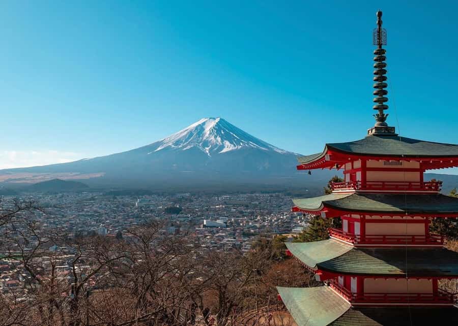 Mount Fuji Full-Day Private Sightseeing Tour with Guide - 5th Station morning plans and what to do when clouds show up