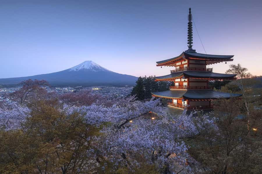 Mount Fuji Full-Day Private Sightseeing Tour with Guide - How guides like Hassan, Ali Kasim, Qasim, and Mac make the day work