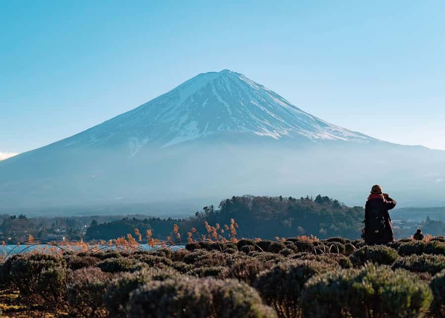 Mount Fuji Full-Day Private Sightseeing Tour with Guide - Hotel pickup in Tokyo and the traffic reality you’re paying to avoid