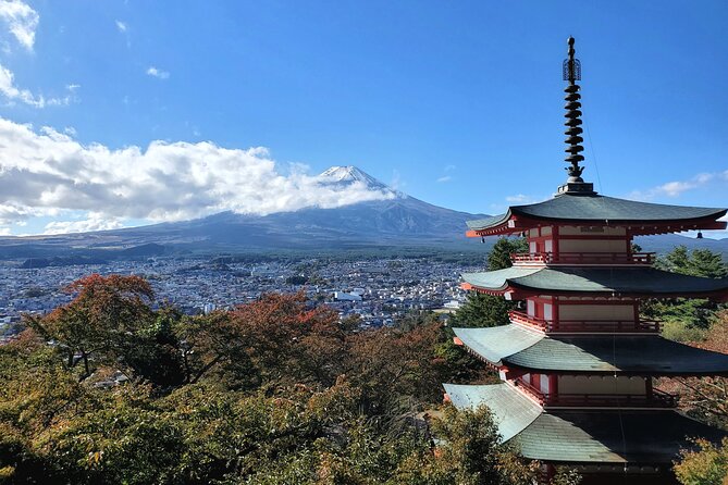 Mount Fuji Full-Day Private Tour from Tokyo (Customizable) - How a Private Fuji Day Feels Different From a Group Bus