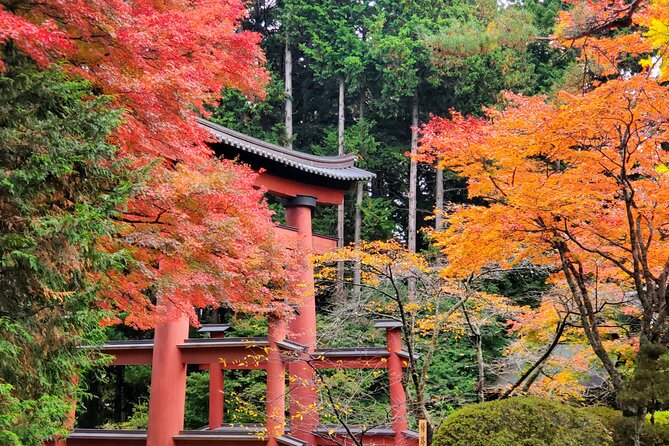 Mount Fuji Full-Day Private Tour from Tokyo (Customizable) - Saiko Lake: The Quiet “Mirror” Stop