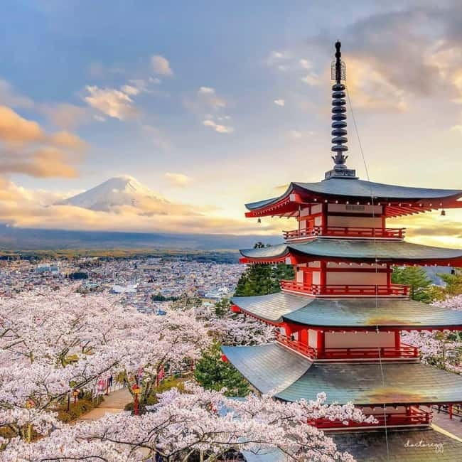 Mount Fuji Full Day Private Tour from Tokyo Full Customized - Key points worth knowing before you go