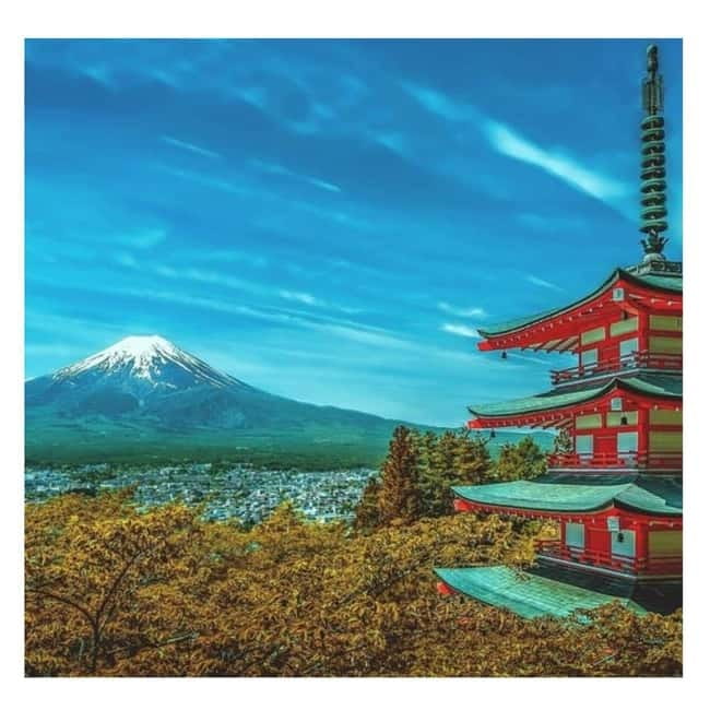 Mount Fuji Full Day Private Tour from Tokyo Full Customized - Pickup timing: the 10-hour day that depends on weather