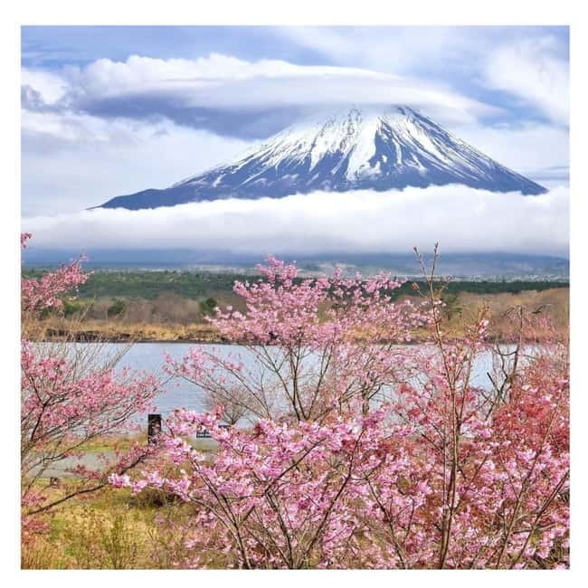 Mount Fuji Full Day Private Tour from Tokyo Full Customized - Gotemba Premium Outlets with Fuji views: shopping without total detour