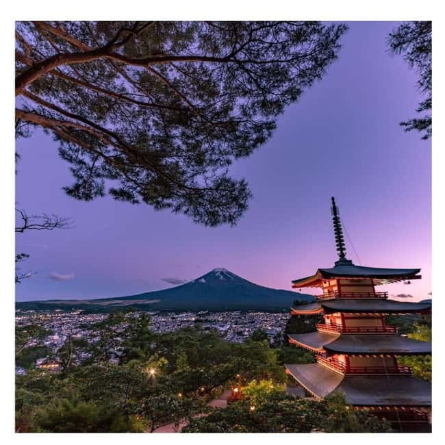 Mount Fuji Full Day Private Tour from Tokyo Full Customized - Price and logistics: why this can be good value