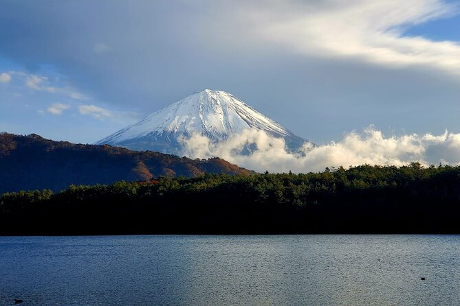 Mount Fuji Full-Day Private Tour from Yokohama Customizable - Starting at Yokohama Port: Private pickup that saves your morning