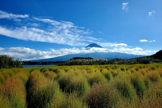 Mount Fuji Full-Day Private Tour from Yokohama Customizable - Oishi Park: Flowers, views, and an ice cream break