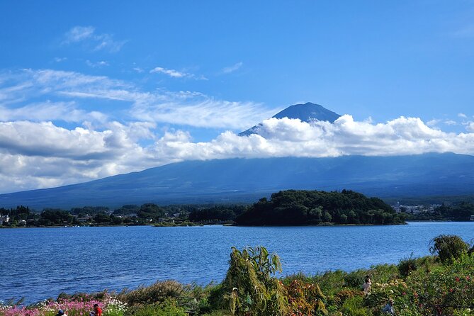 Mount Fuji Full-Day Private Tour from Yokohama Customizable - Saiko Iyashi no Sato Nemba: The Healing Village on Lake Saiko