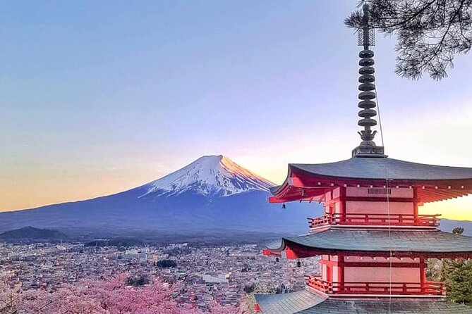 Mount Fuji full day private trip with English speaking driver - Key things to know before you go