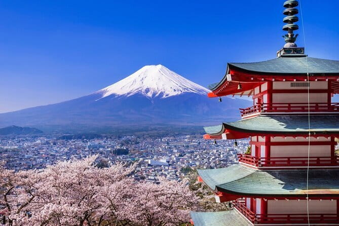 Mount Fuji Full Day Sightseeing Tour from Tokyo - Key highlights before you go